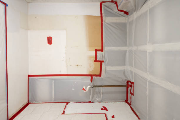 Averill Park, NY Mold Removal Company