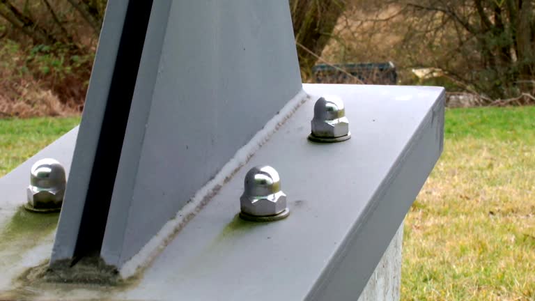 Biohazard Mold Removal in Averill Park, NY